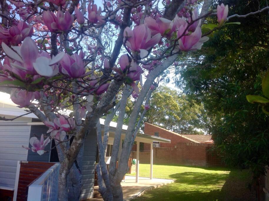 Magnolia Cottage Coffs Harbour Bagian luar foto