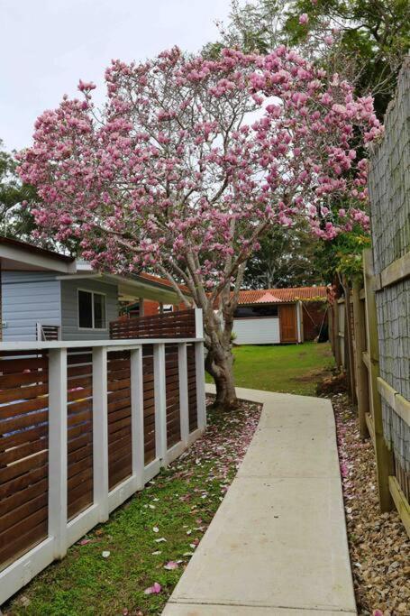 Magnolia Cottage Coffs Harbour Bagian luar foto