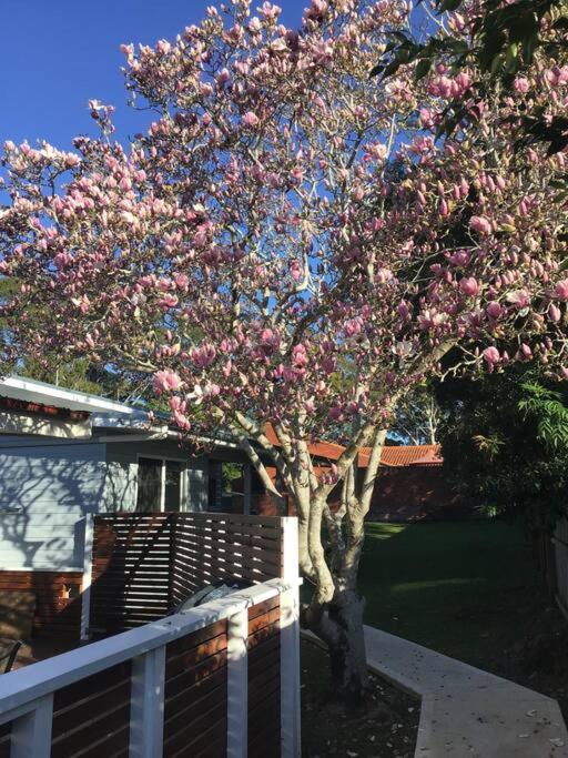 Magnolia Cottage Coffs Harbour Bagian luar foto